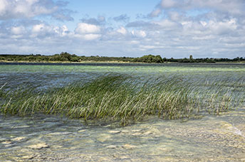 Irlanda