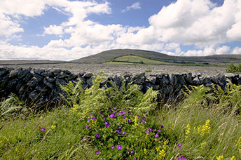 Irlanda