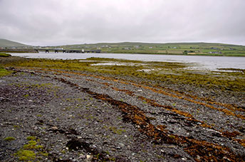 Irlanda