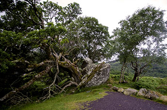 Irlanda