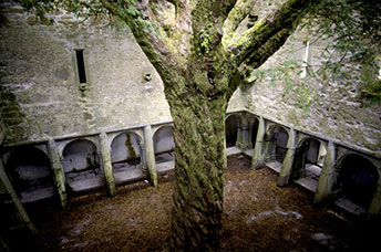 Irlanda