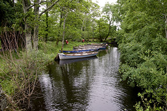 Irlanda