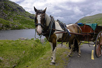 Irlanda