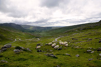 Irlanda