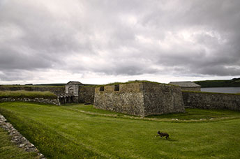 Irlanda