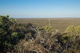 Madagascar