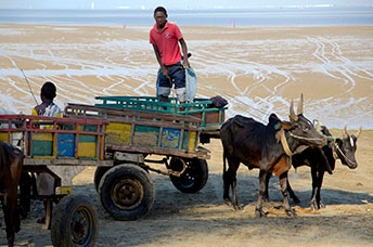 Madagascar