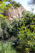 Madagascar
