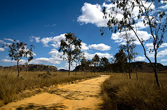 Madagascar