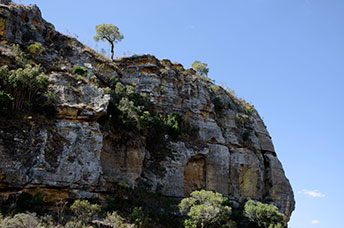 Madagascar