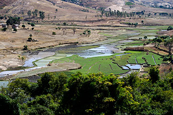 Madagascar