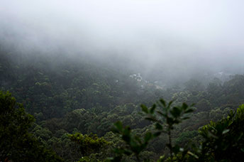 Madagascar