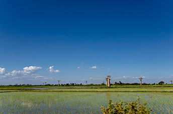 Madagascar