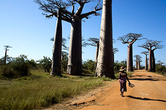 Madagascar