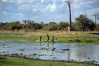 Madagascar