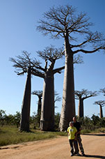 Madagascar