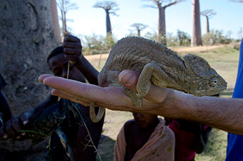 Madagascar