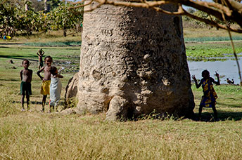 Madagascar