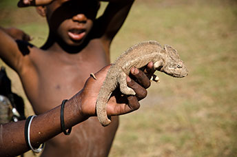 Madagascar