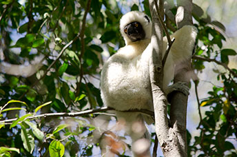 Madagascar