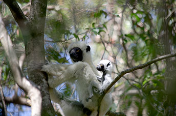 Madagascar