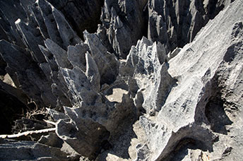 Madagascar