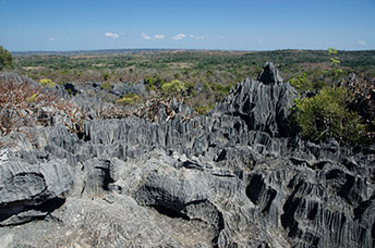 Madagascar