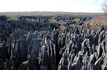 Madagascar