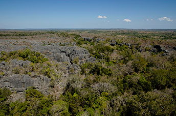 Madagascar