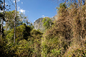 Madagascar