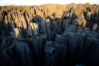 Madagascar