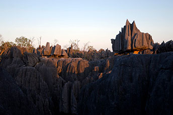 Madagascar