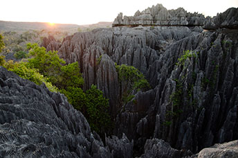 Madagascar