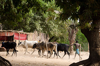 Madagascar