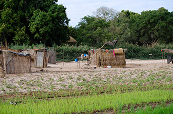 Madagascar
