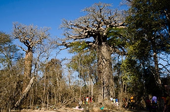 Madagascar