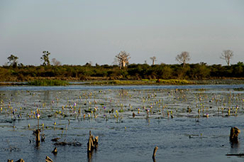 Madagascar