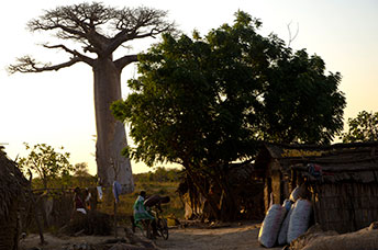Madagascar