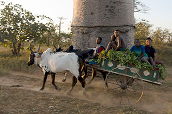 Madagascar