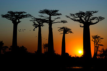 Madagascar