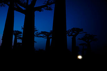 Madagascar