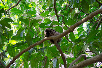 Madagascar