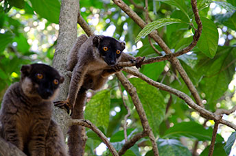 Madagascar