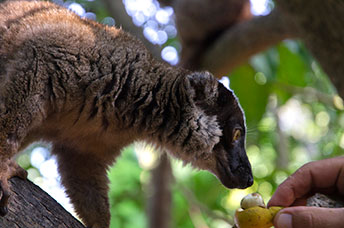 Madagascar