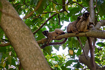 Madagascar