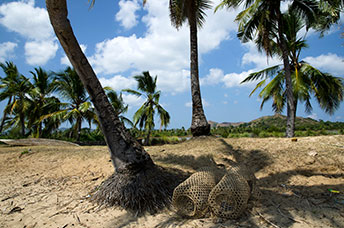 Madagascar