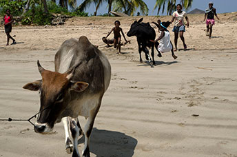 Madagascar
