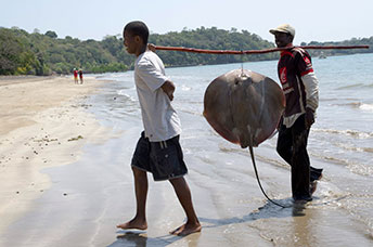 Madagascar