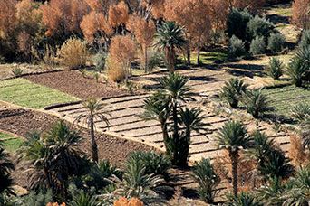 Marocco