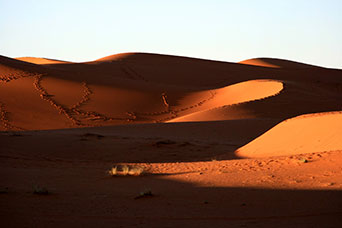 Marocco